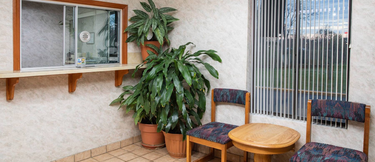 CHECK OUT SUPER 8 BY WYNDHAM BURLINGTON